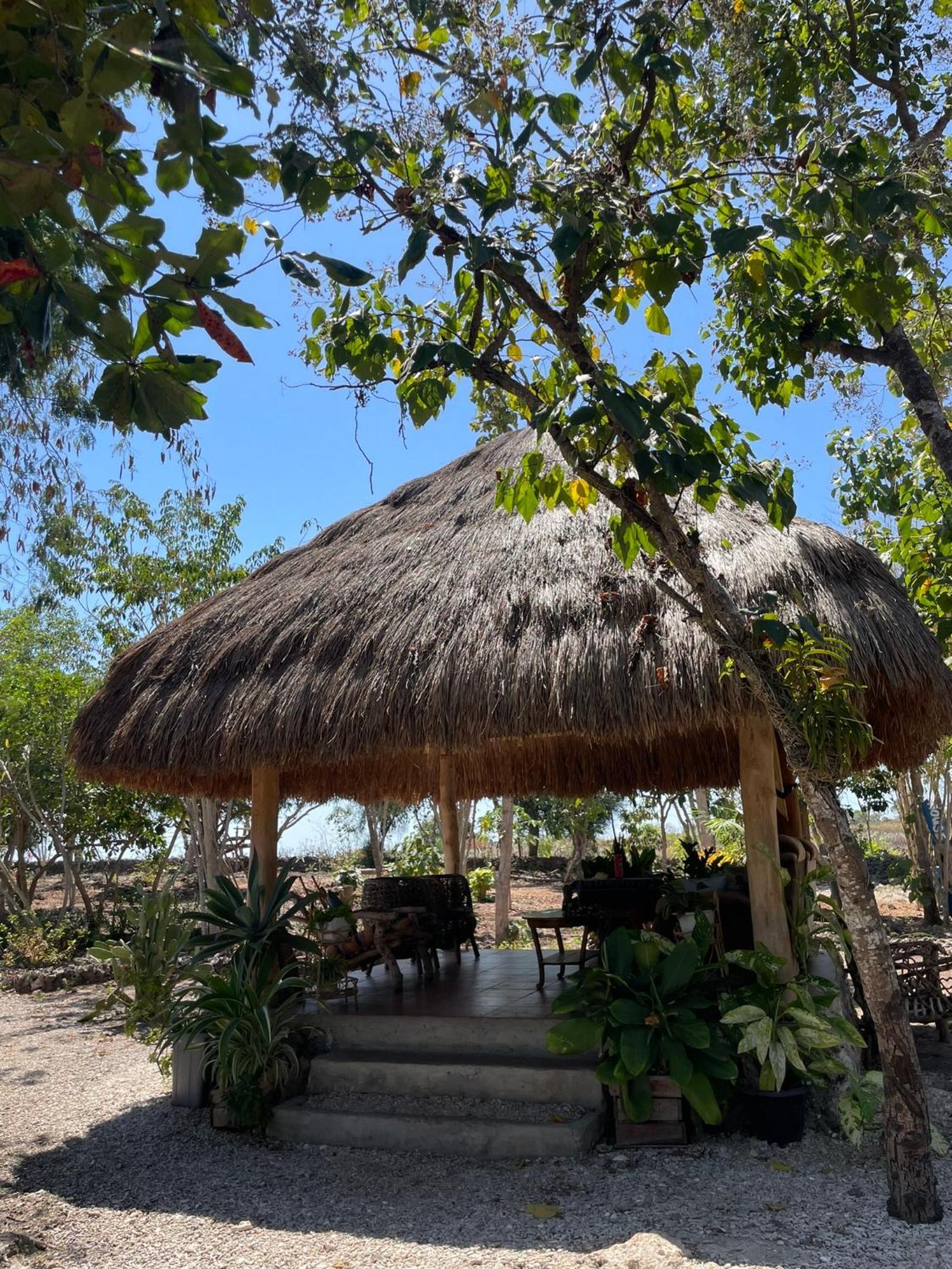 Oro Beach Houses Weetebula Buitenkant foto